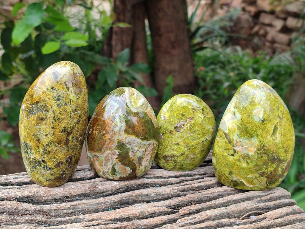 Polished Green Opal Standing Free Forms x 6 From Betroka, Madagascar