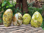 Polished Green Opal Standing Free Forms x 6 From Betroka, Madagascar