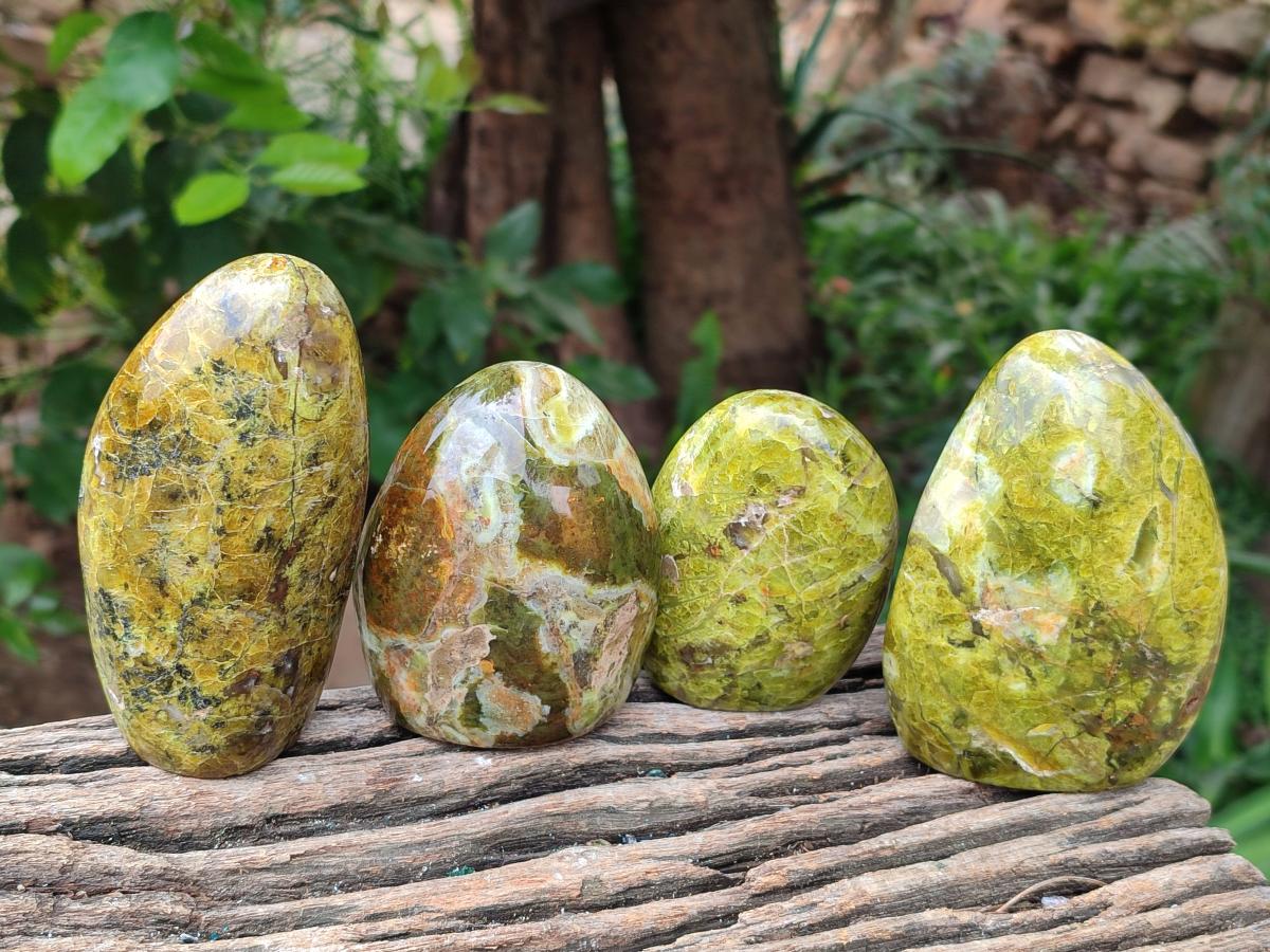 Polished Green Opal Standing Free Forms x 6 From Betroka, Madagascar