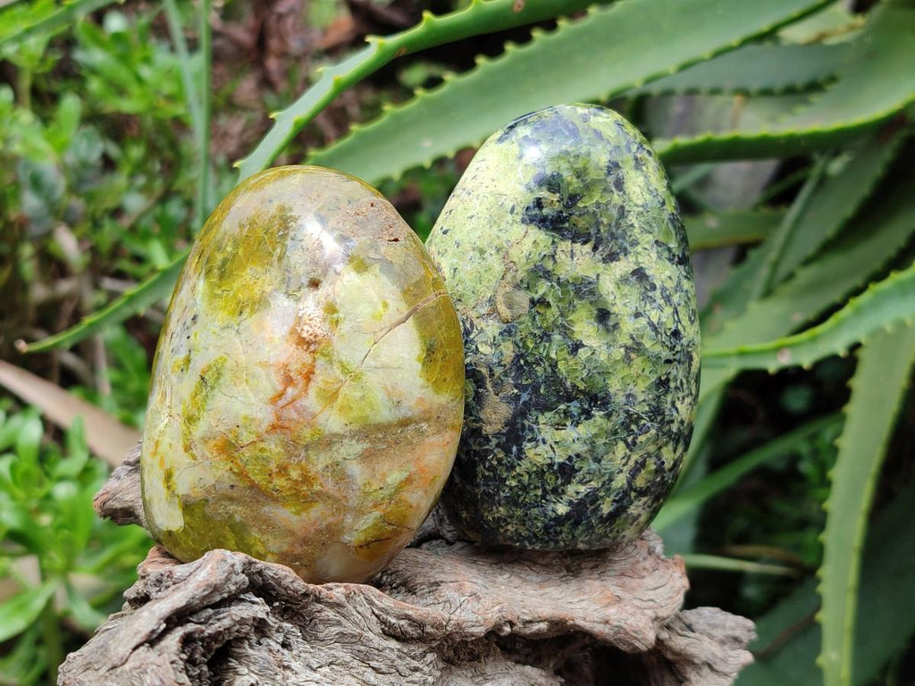 Polished Green Opal Standing Free Forms x 6 From Betroka, Madagascar