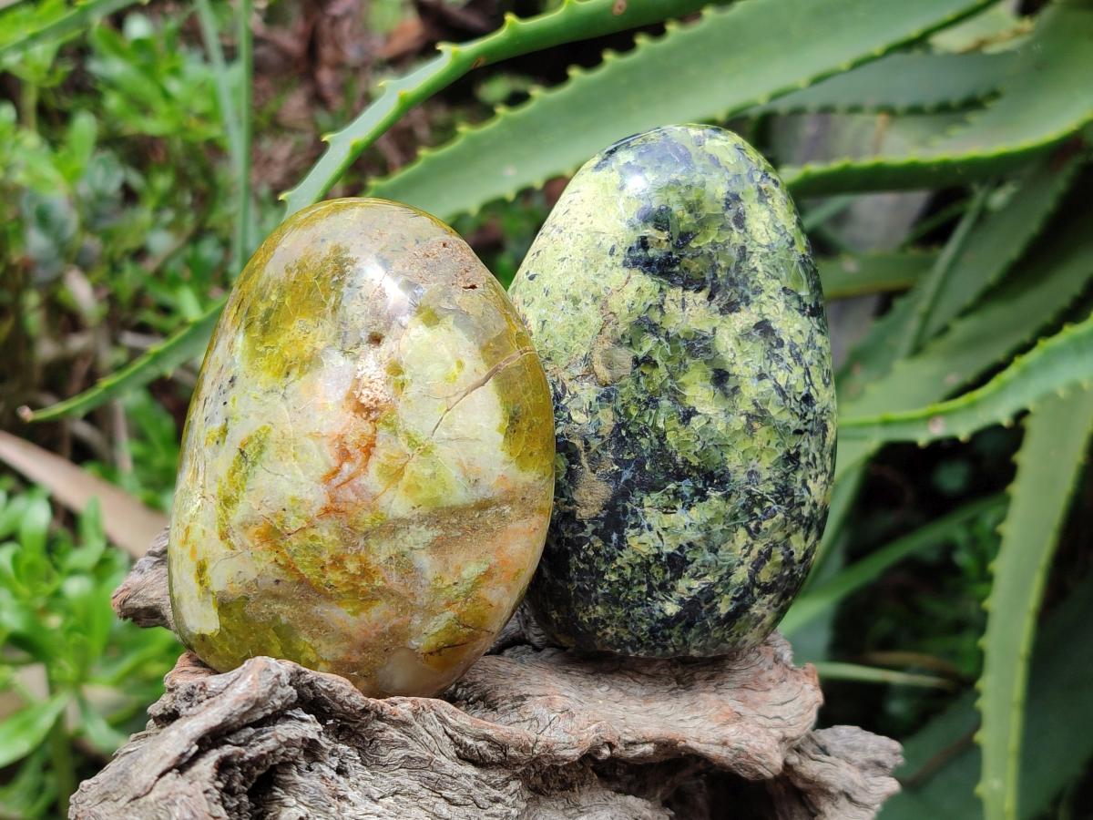 Polished Green Opal Standing Free Forms x 6 From Betroka, Madagascar
