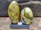 Polished Green Opal Standing Free Forms x 6 From Betroka, Madagascar