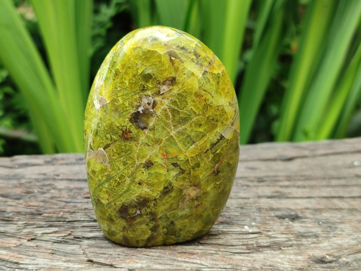 Polished Green Opal Standing Free Forms x 6 From Betroka, Madagascar