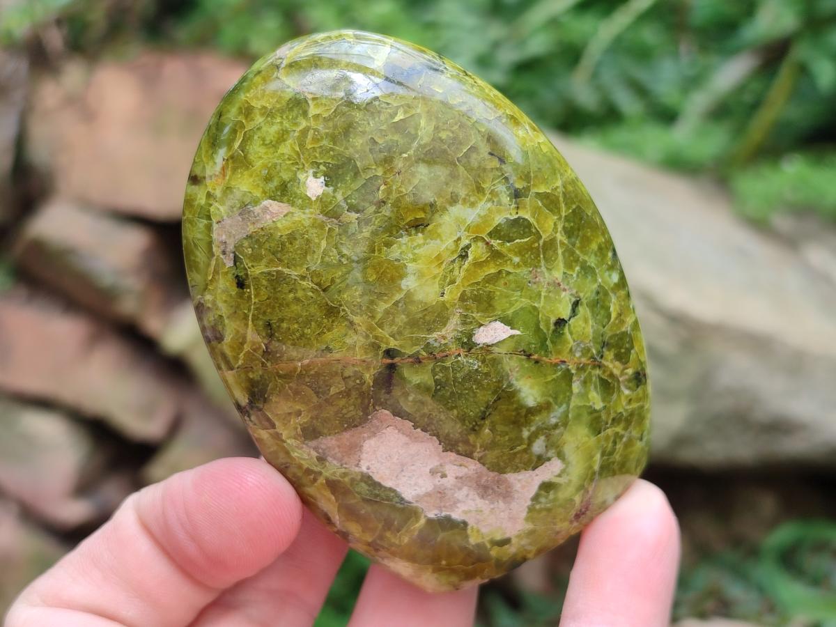 Polished Green Opal Standing Free Forms x 6 From Betroka, Madagascar