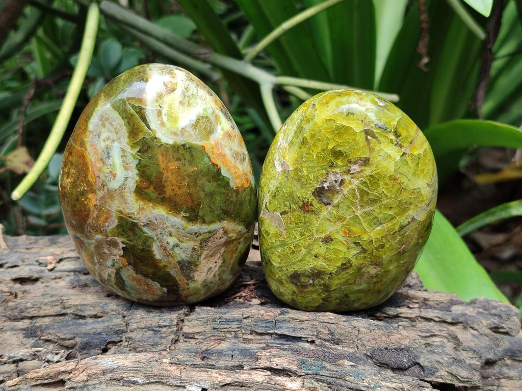 Polished Green Opal Standing Free Forms x 6 From Betroka, Madagascar