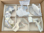 Natural Etched Blue Chalcedony Geodes x 6 From Nsanje, Malawi - Toprock Gemstones and Minerals 