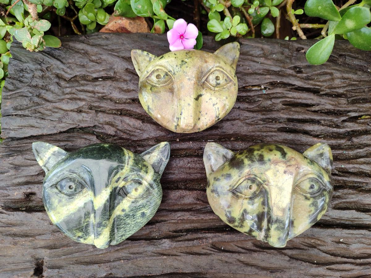 Hand Made Leopard Stone Cat Face Carvings x 3 From Zimbabwe