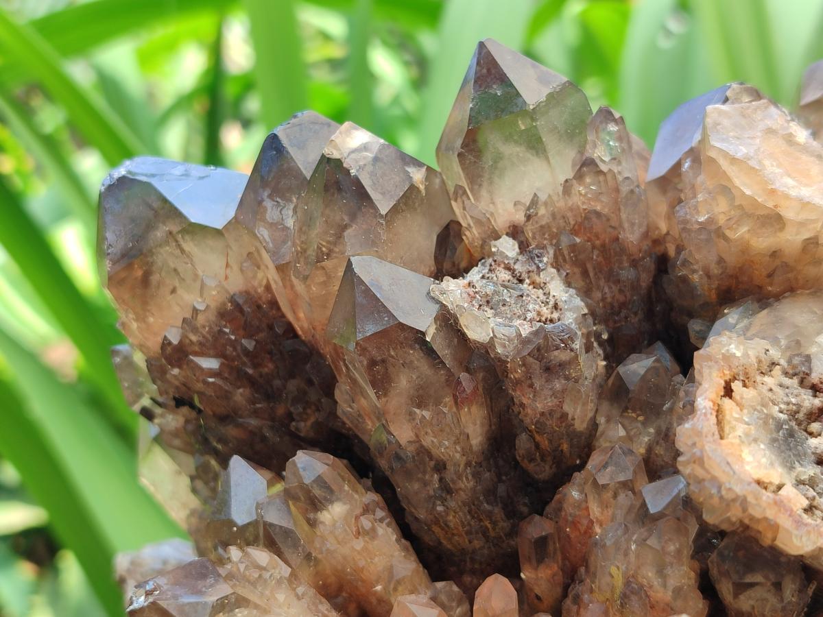 Natural XXL Cascading Smokey Citrine Quartz Cluster x 1 From Luena, Congo