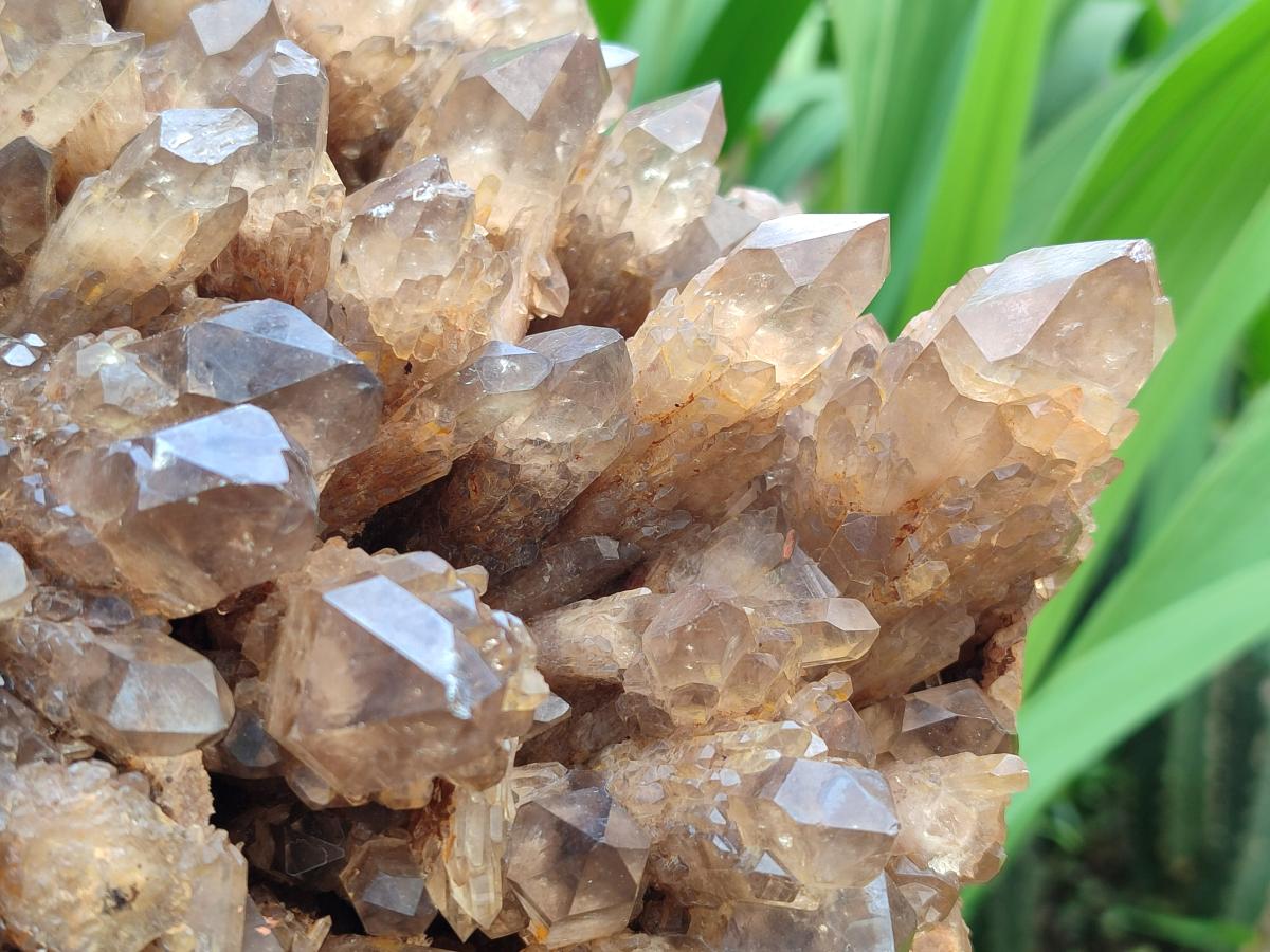 Natural XXL Cascading Smokey Citrine Quartz Cluster x 1 From Luena, Congo