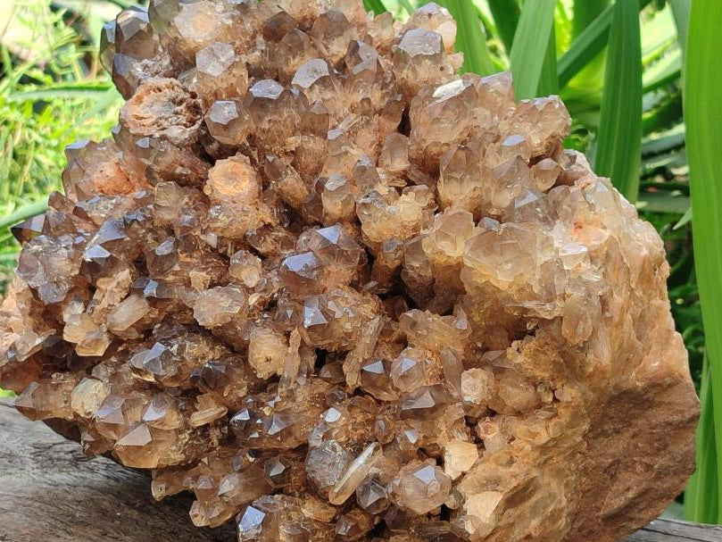 Natural XXL Cascading Smokey Citrine Quartz Cluster x 1 From Luena, Congo