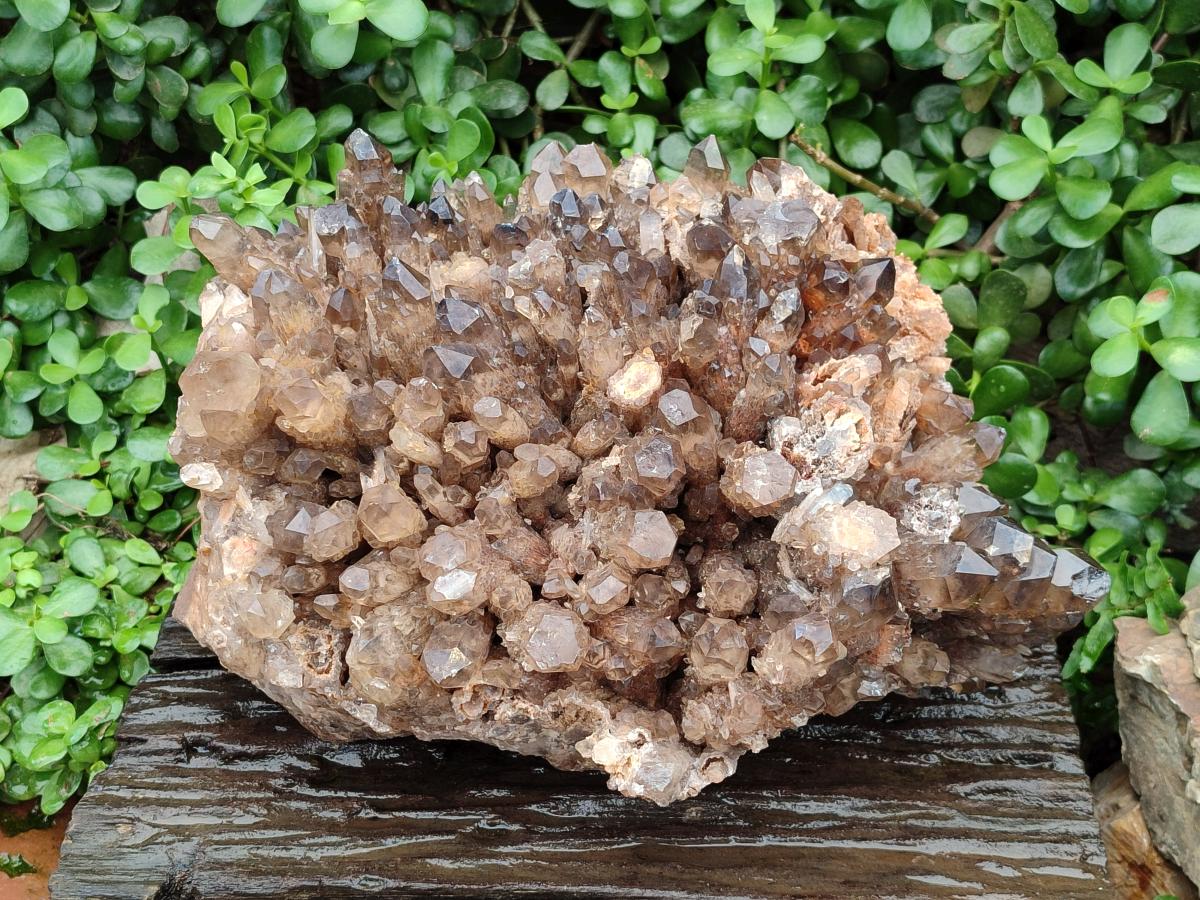 Natural XXL Cascading Smokey Citrine Quartz Cluster x 1 From Luena, Congo