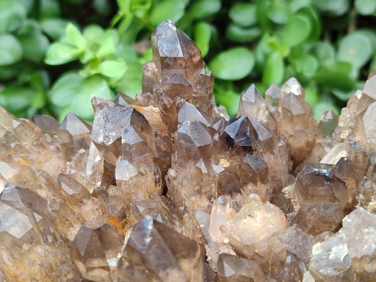 Natural XXL Cascading Smokey Citrine Quartz Cluster x 1 From Luena, Congo