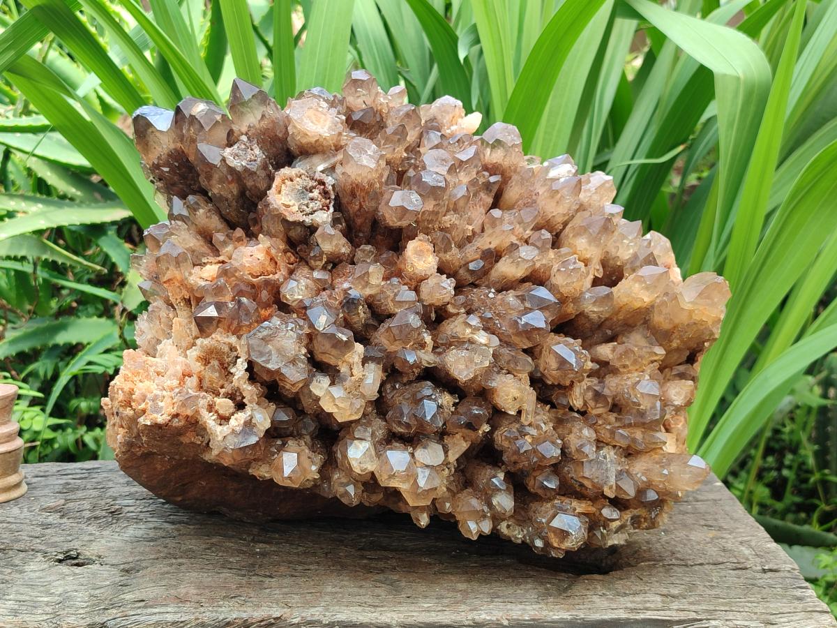 Natural XXL Cascading Smokey Citrine Quartz Cluster x 1 From Luena, Congo
