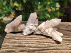 Natural Fairy Golden Limonite Spirit Quartz Crystals x 35 From Boekenhouthoek, South Africa