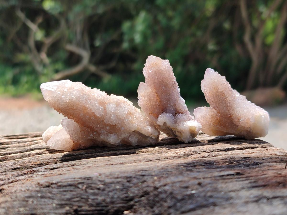 Natural Fairy Golden Limonite Spirit Quartz Crystals x 35 From Boekenhouthoek, South Africa