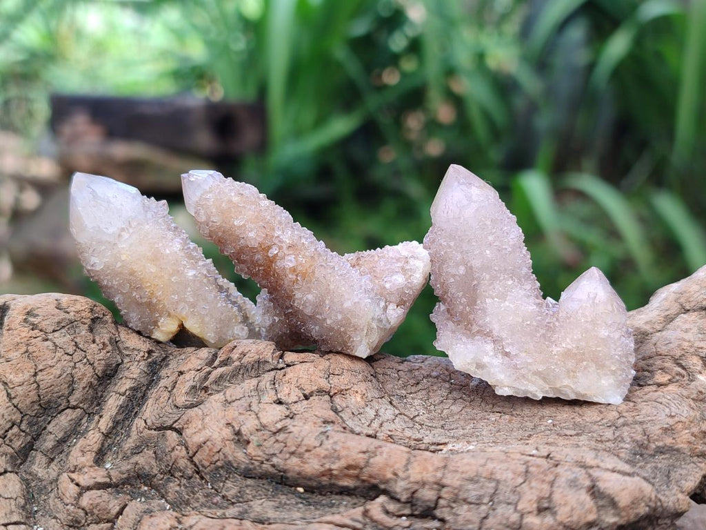 Natural Fairy Golden Limonite Spirit Quartz Crystals x 35 From Boekenhouthoek, South Africa