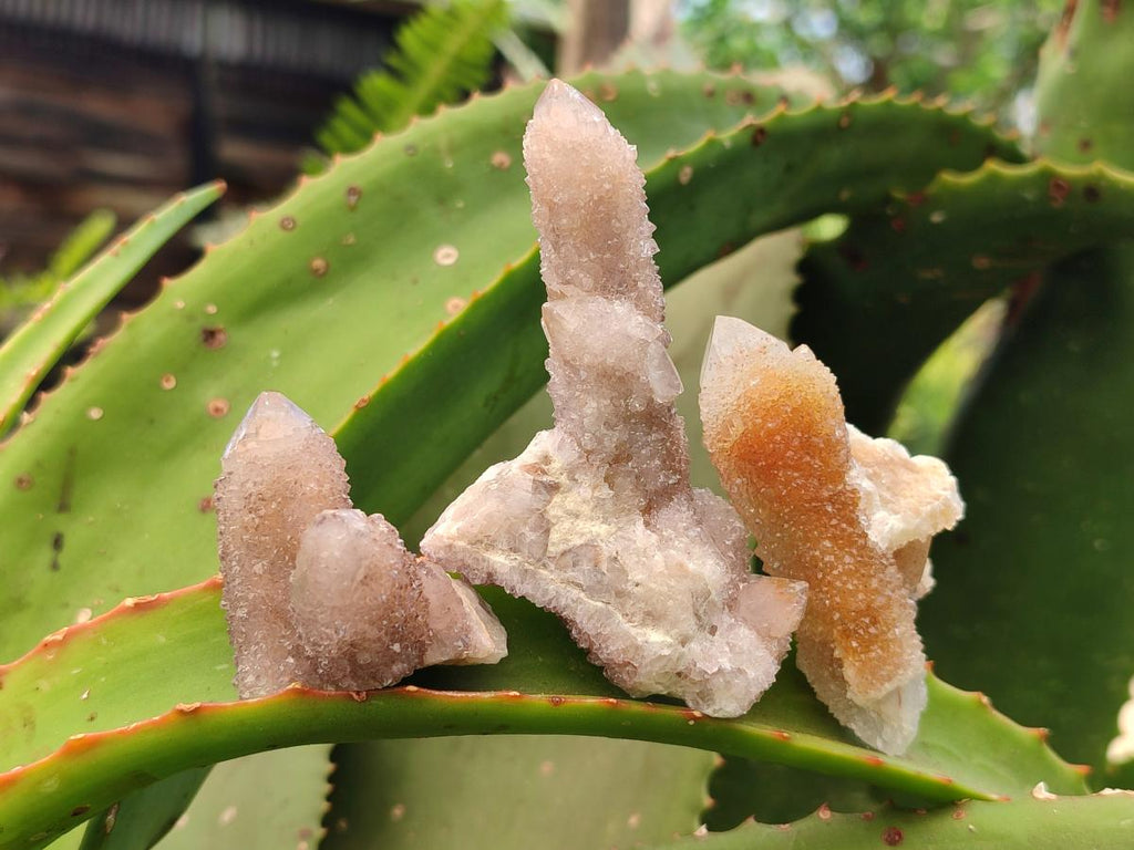 Natural Fairy Golden Limonite Spirit Quartz Crystals x 35 From Boekenhouthoek, South Africa