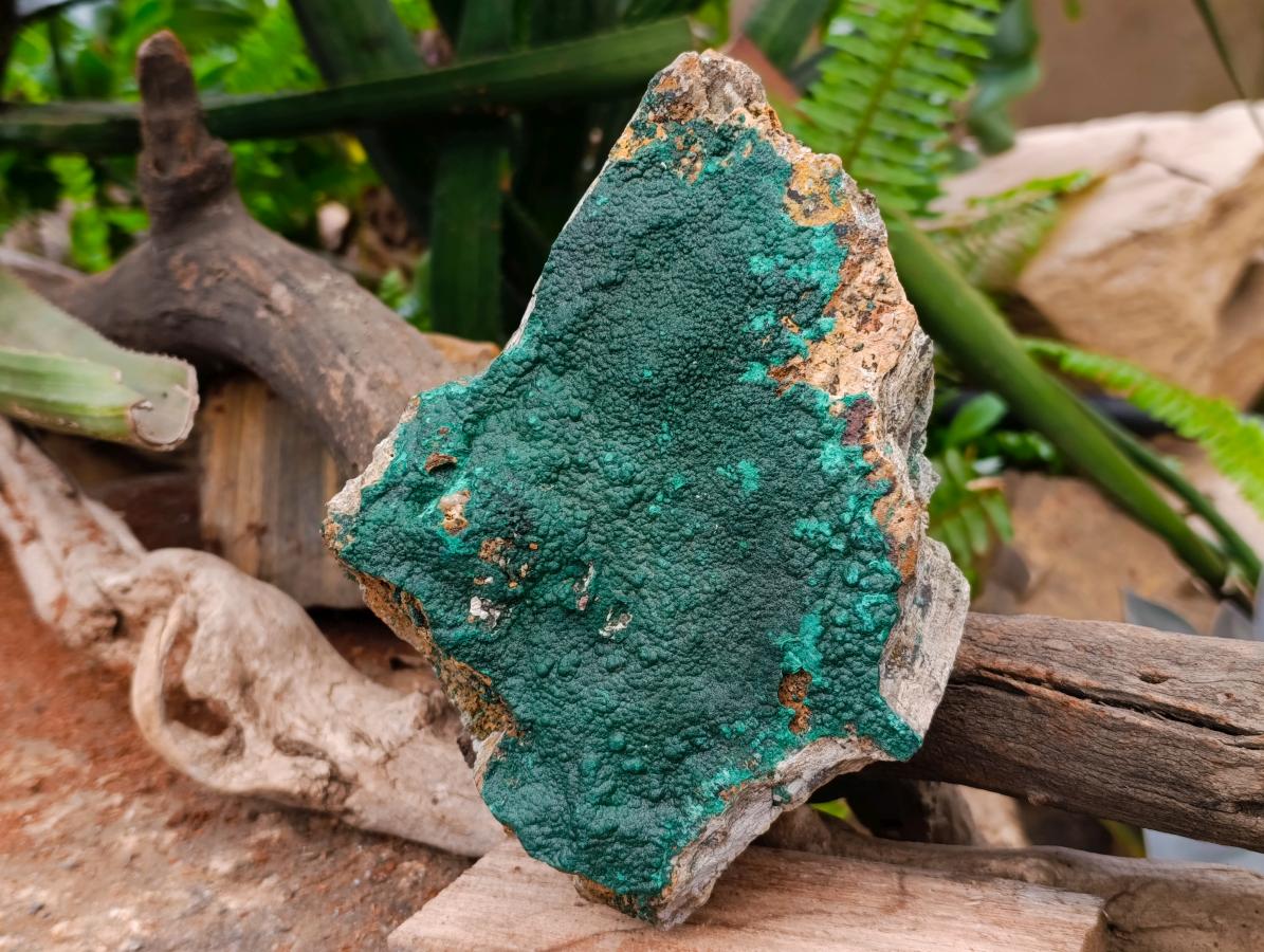 Natural Crystalline Malachite Specimen x 1 From Tenke Fungurume, Congo