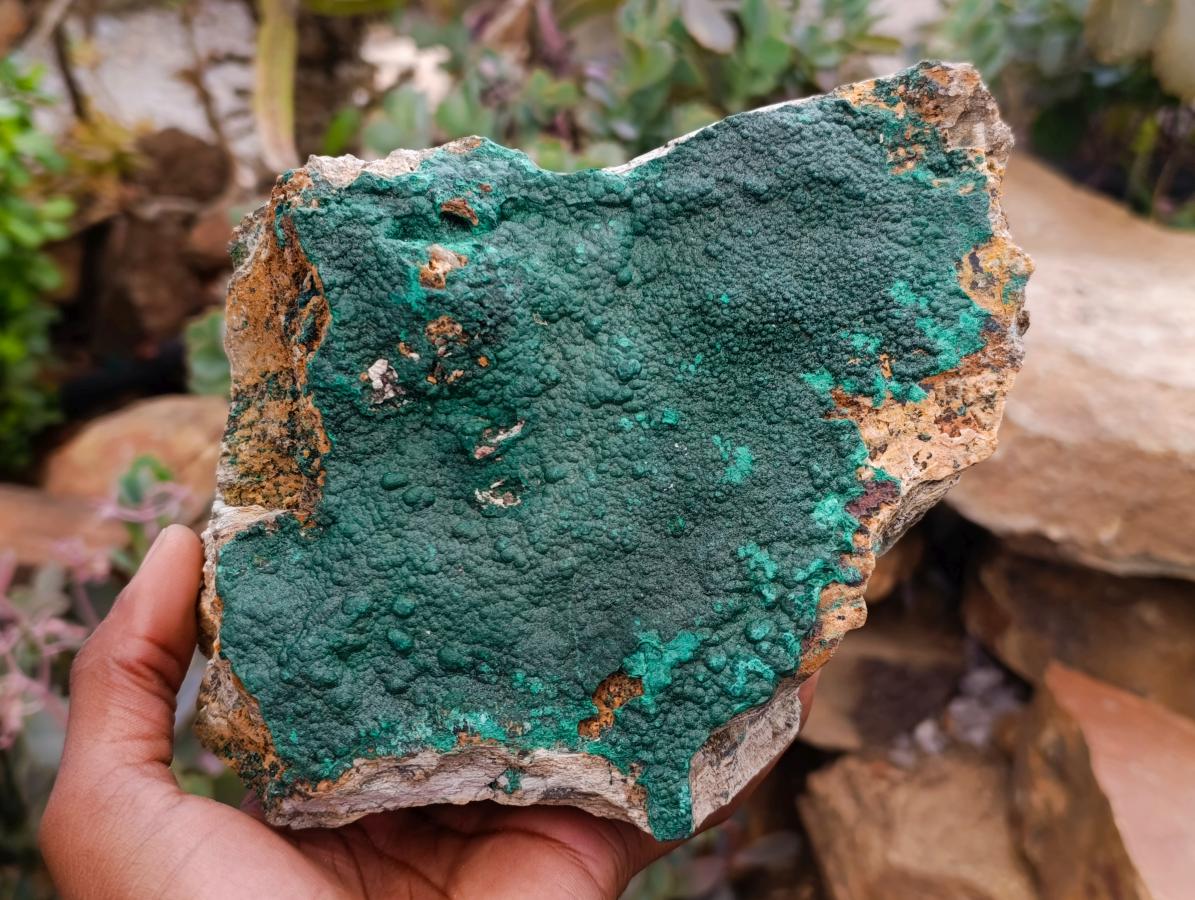 Natural Crystalline Malachite Specimen x 1 From Tenke Fungurume, Congo