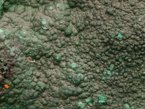 Natural Crystalline Malachite Specimen x 1 From Tenke Fungurume, Congo