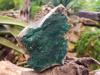 Natural Crystalline Malachite Specimen x 1 From Tenke Fungurume, Congo