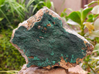 Natural Crystalline Malachite Specimen x 1 From Tenke Fungurume, Congo