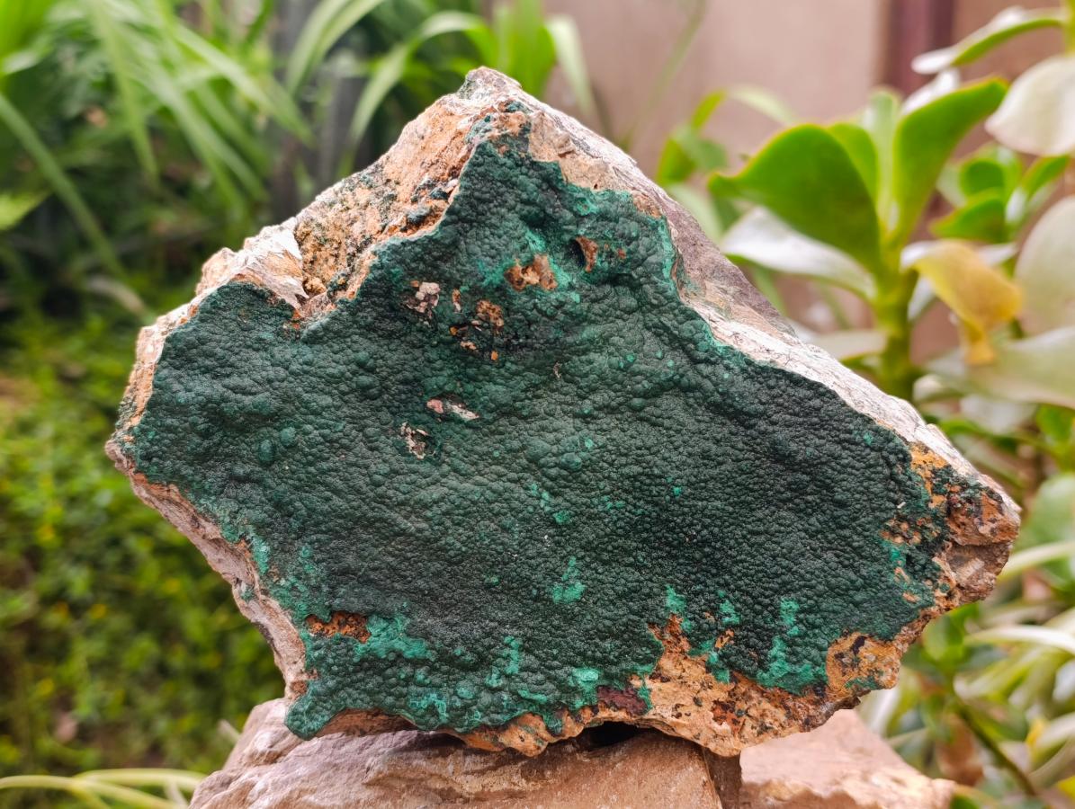 Natural Crystalline Malachite Specimen x 1 From Tenke Fungurume, Congo