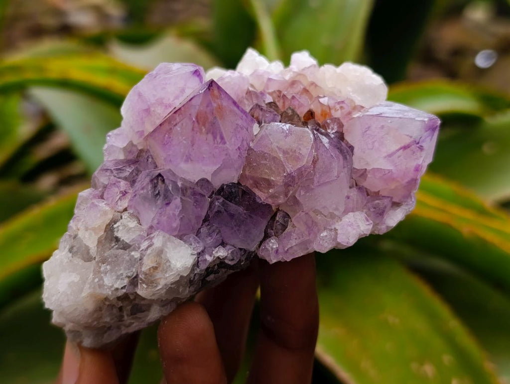 Natural Sunburst Amethyst Spirit Clusters x 6 From Boekenhouthoek, South Africa