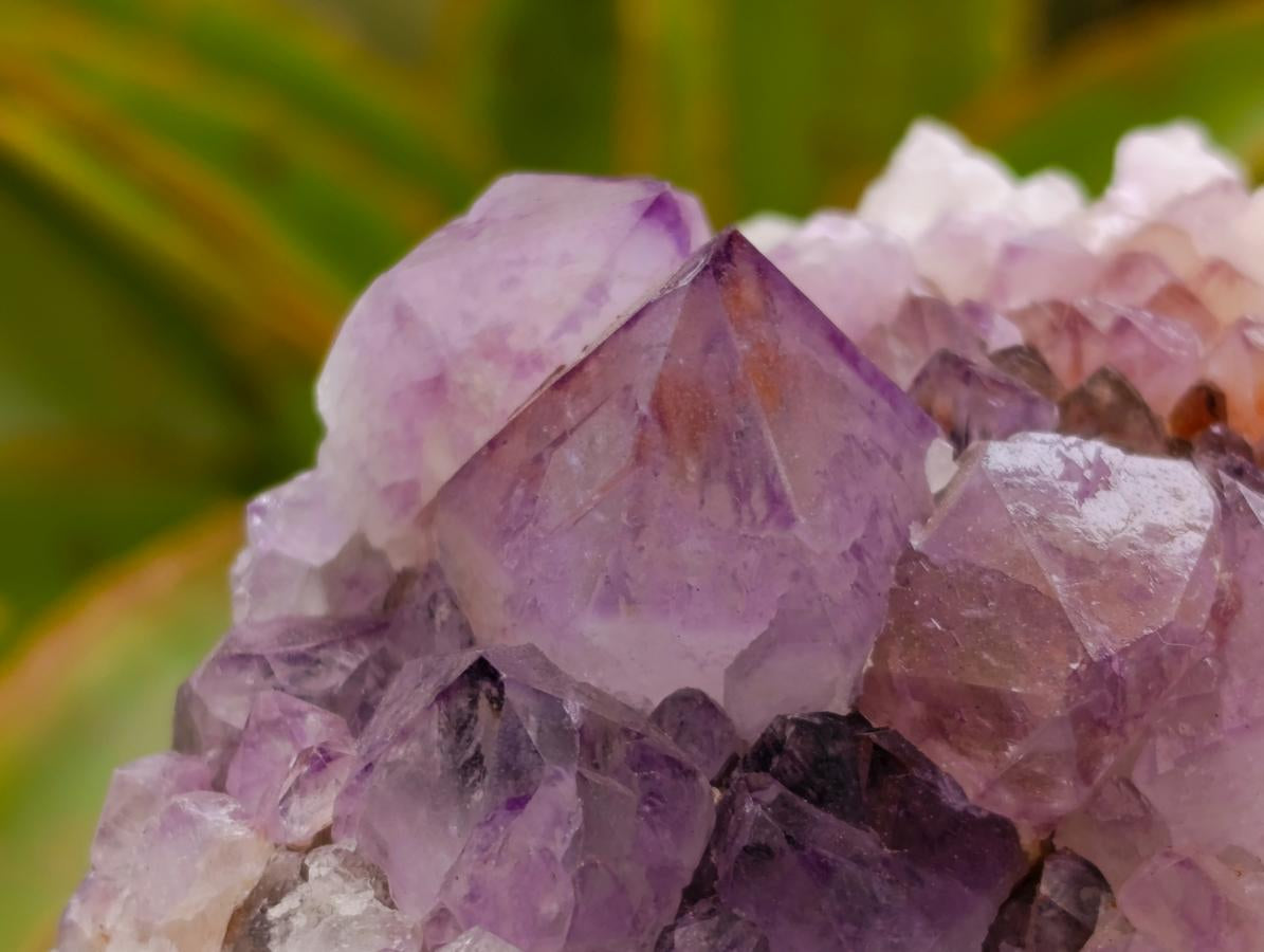 Natural Sunburst Amethyst Spirit Clusters x 6 From Boekenhouthoek, South Africa