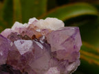 Natural Sunburst Amethyst Spirit Clusters x 6 From Boekenhouthoek, South Africa