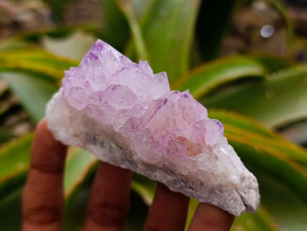 Natural Sunburst Amethyst Spirit Clusters x 6 From Boekenhouthoek, South Africa