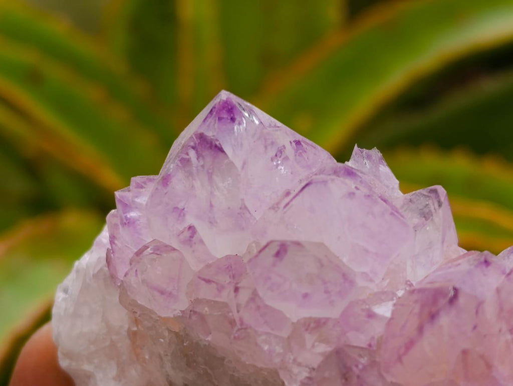 Sunburst Rocks Natural Sunburst Amethyst Spirit Clusters x 6 From Boekenhouthoek, Sou ...