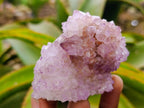 Natural Sunburst Amethyst Spirit Clusters x 6 From Boekenhouthoek, South Africa