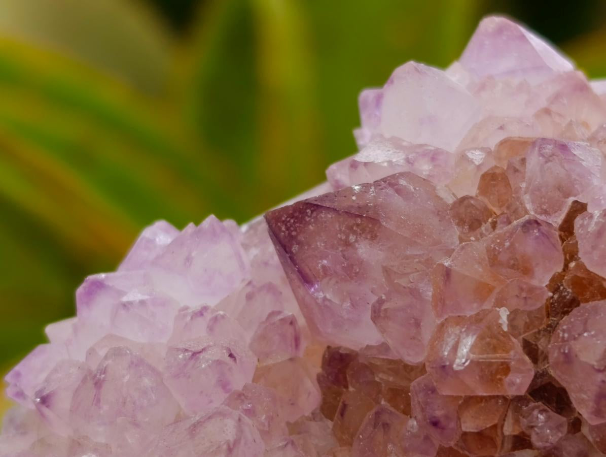 Natural Sunburst Amethyst Spirit Clusters x 6 From Boekenhouthoek, South Africa