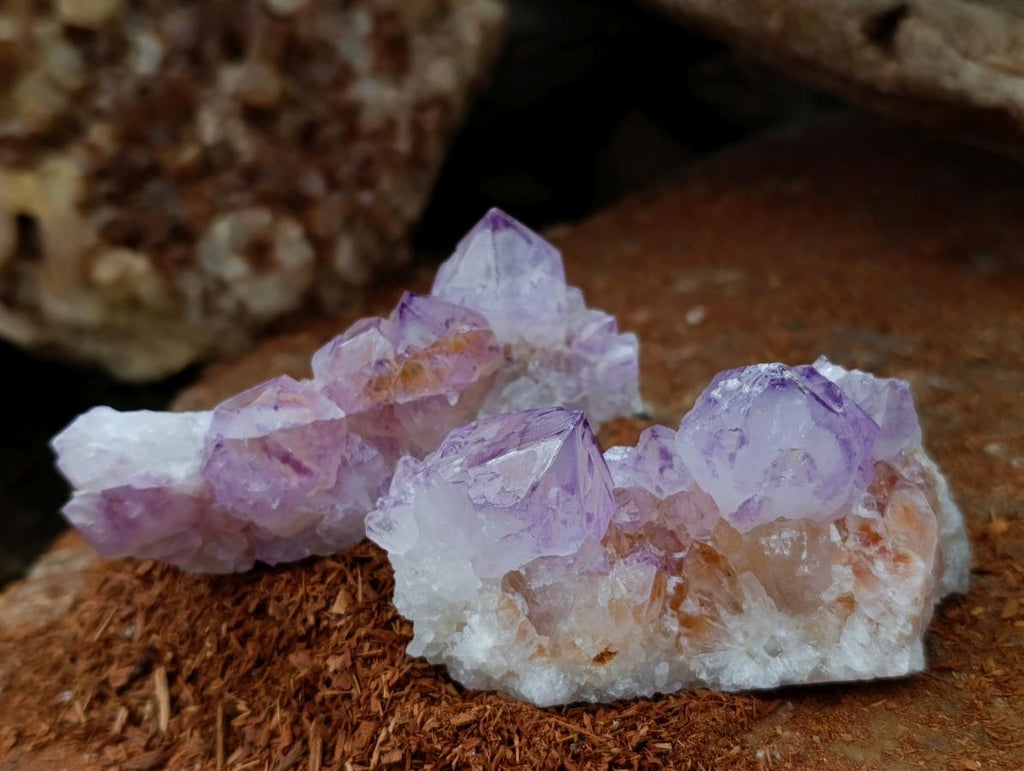 Natural Sunburst Amethyst Spirit Clusters x 6 From Boekenhouthoek, South Africa