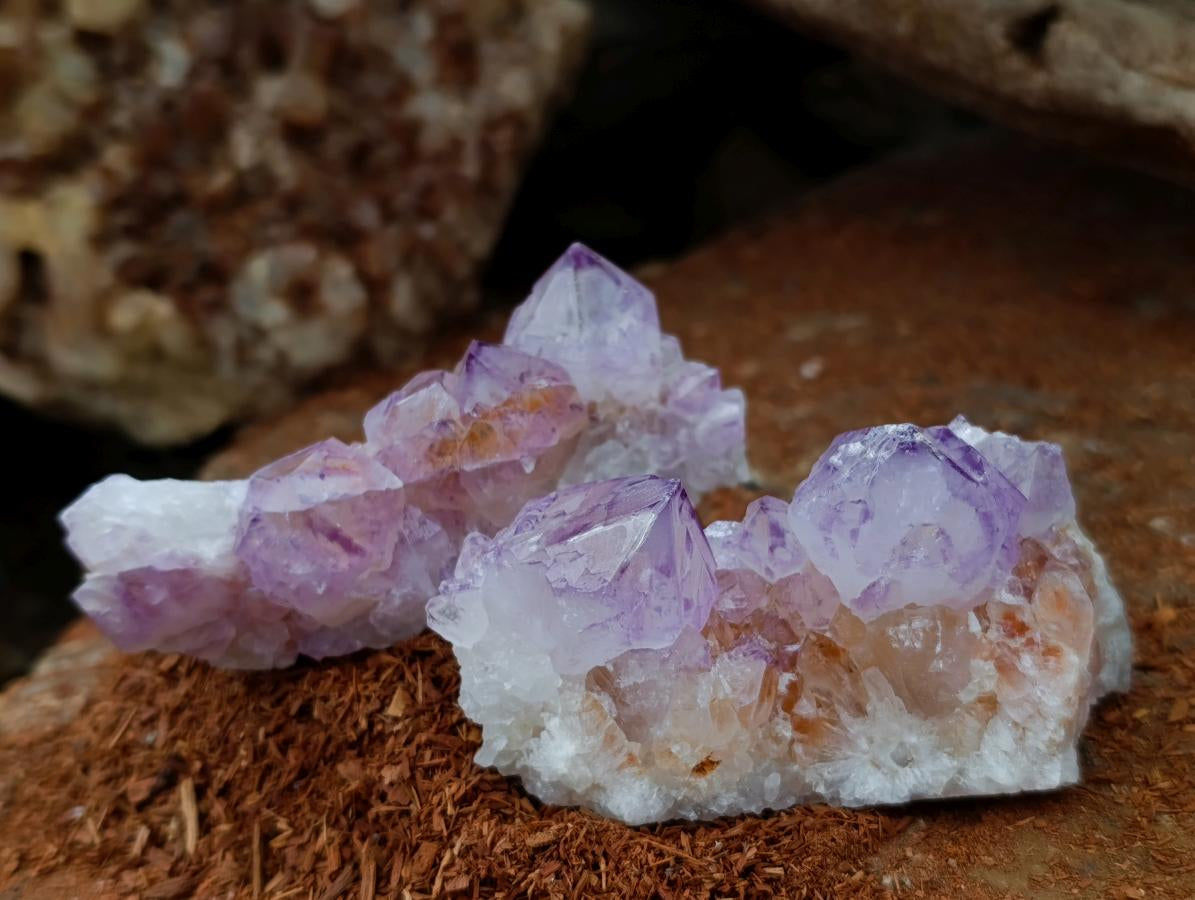 Natural Sunburst Amethyst Spirit Clusters x 6 From Boekenhouthoek, South Africa