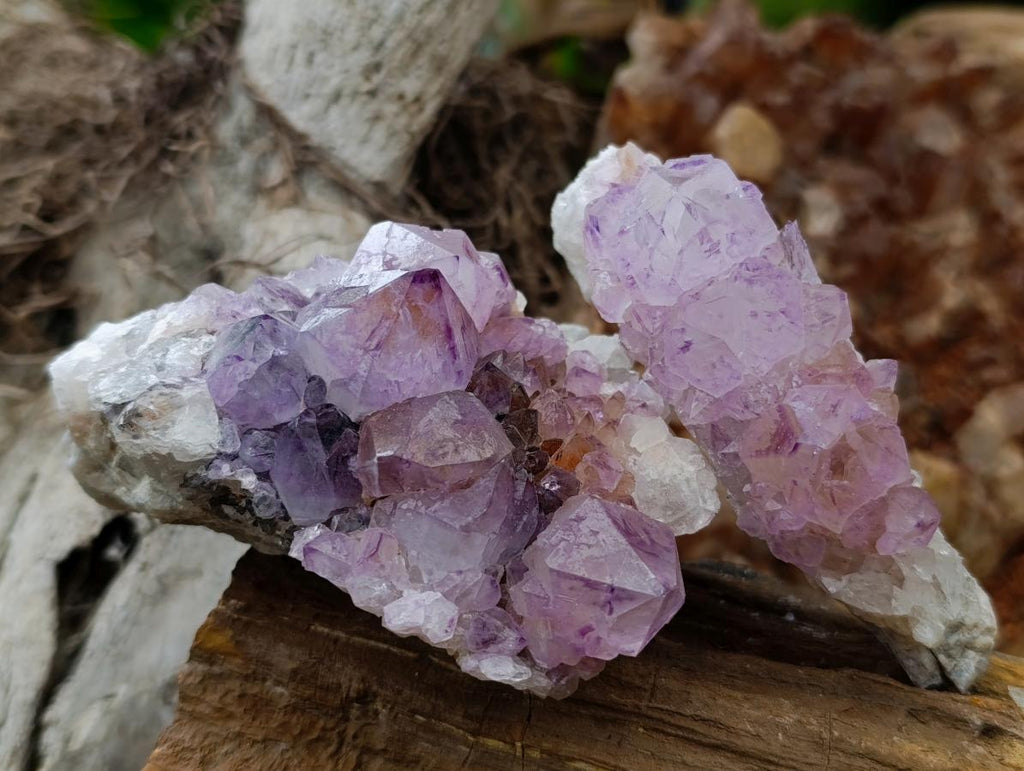 Natural Sunburst Amethyst Spirit Clusters x 6 From Boekenhouthoek, South Africa