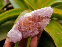 Natural Sunburst Amethyst Spirit Clusters x 6 From Boekenhouthoek, South Africa