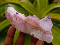 Natural Sunburst Amethyst Spirit Clusters x 6 From Boekenhouthoek, South Africa