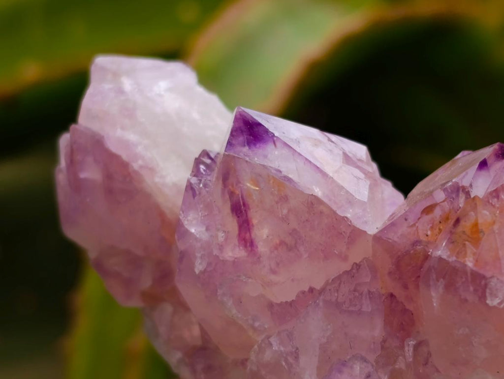 Natural Sunburst Amethyst Spirit Clusters x 6 From Boekenhouthoek, South Africa