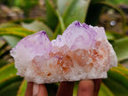 Natural Sunburst Amethyst Spirit Clusters x 6 From Boekenhouthoek, South Africa