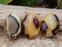 Polished Septerye Galets x 12 From Mahajanga, Madagascar