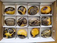 Polished Septerye Galets x 12 From Mahajanga, Madagascar