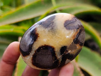 Polished Septerye Galets x 12 From Mahajanga, Madagascar