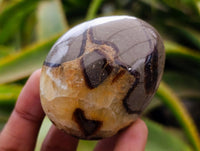Polished Septerye Galets x 12 From Mahajanga, Madagascar