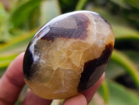Polished Septerye Galets x 12 From Mahajanga, Madagascar