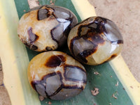 Polished Septerye Galets x 12 From Mahajanga, Madagascar