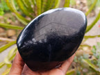 Polished Black Tourmaline Standing Free Forms x 2 From Madagascar