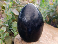 Polished Black Tourmaline Standing Free Forms x 2 From Madagascar