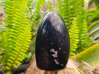 Polished Black Tourmaline Standing Free Forms x 2 From Madagascar